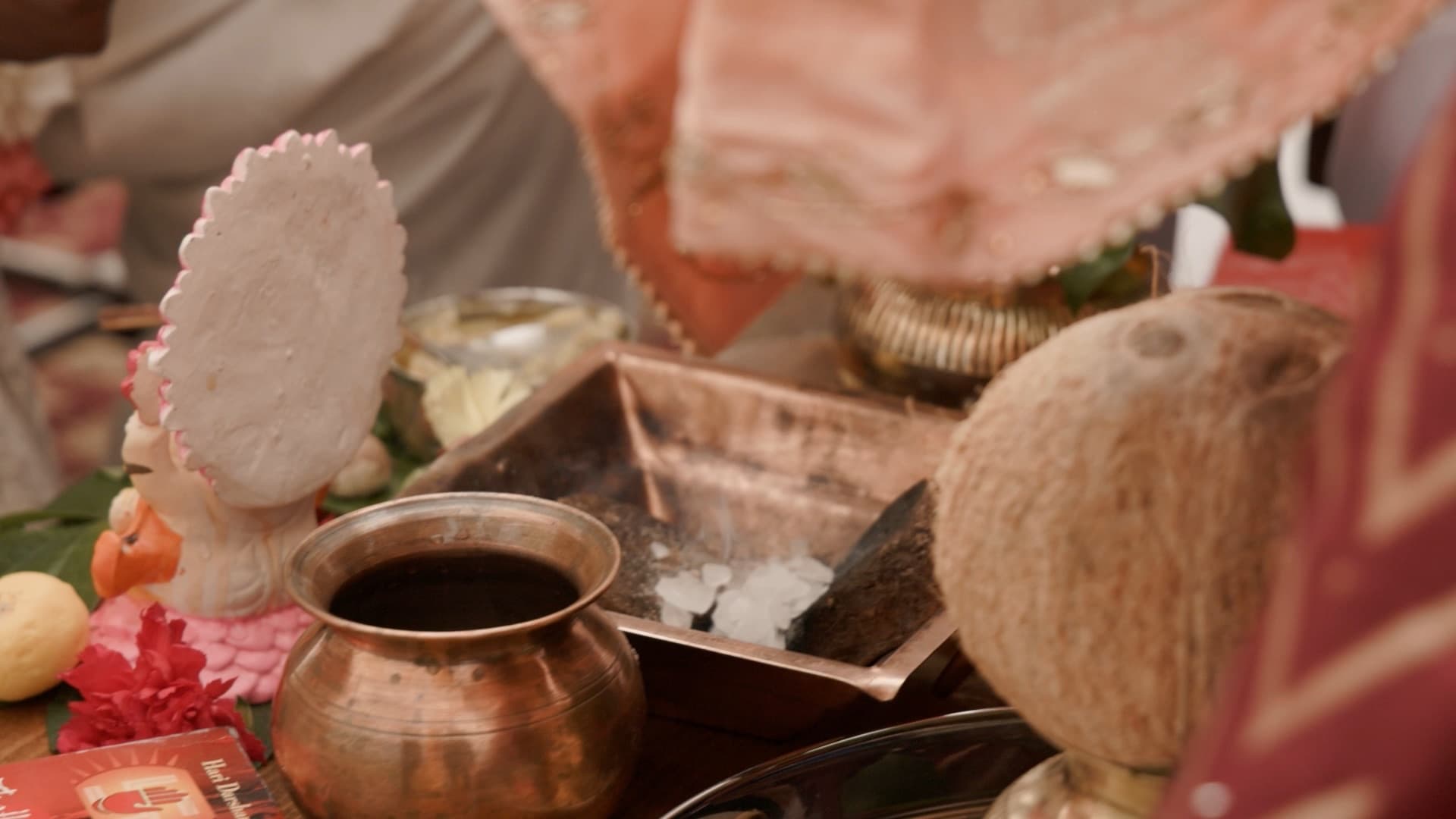 Jaqueline + Parik - Photo 18