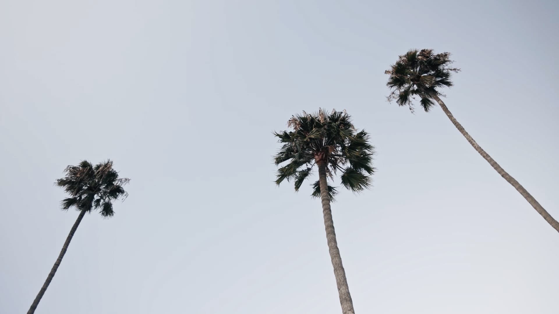 Jonele + Michael - Photo 5