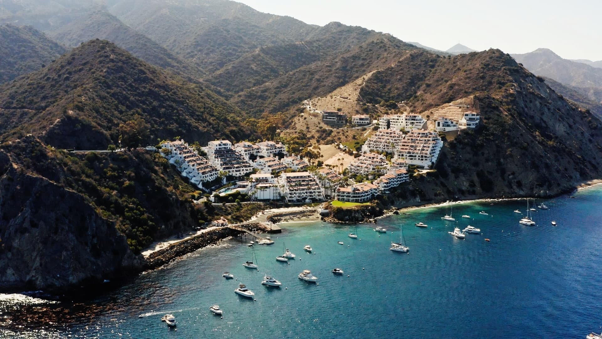 Jonele + Michael - Photo 7