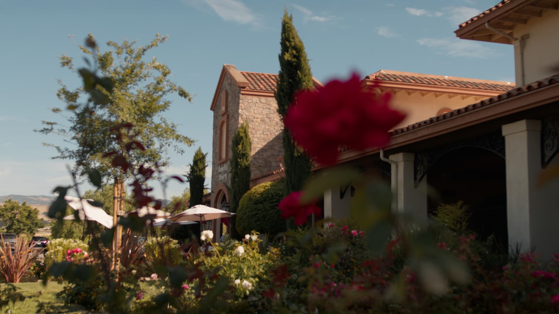 Mountain Magic Collection - Photo 2